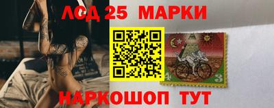 дмт Новокубанск