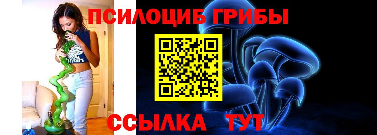 Псилоцибиновые грибы мицелий  Вход с VPN  Сосновый Бор  где купить наркоту  Псилоцибиновые грибы Magic Shrooms 